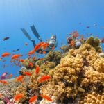 Biodiversity is short for "biological diversity," which is essentially the variety of life we see all around us, from the biggest blue whales to the smallest microbes.