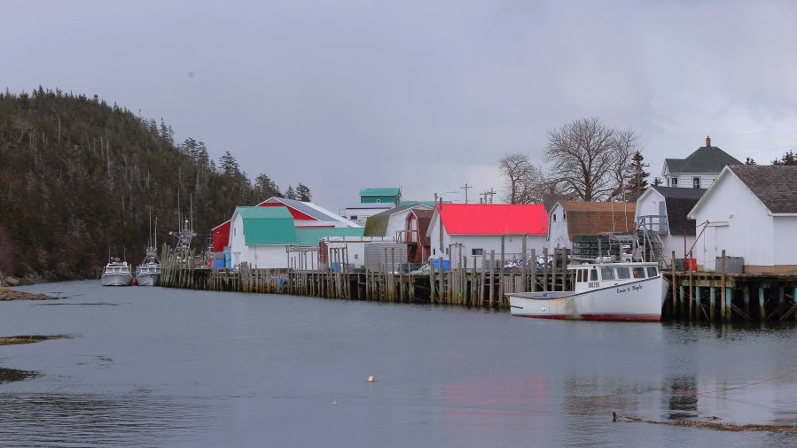 Digby Island! Nestled off the coast of northern British Columbia, this secluded slice of paradise might be small, but it’s packed with natural beauty