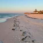 Gasparilla Island is a serene slice of paradise that offers the perfect blend of relaxation and adventure. Known for its stunning beaches