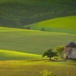 Located in the peaceful countryside of the South Moravian region, Kunkovice is a small village that offers a glimpse into the tranquil rural life of the Czech Republic.