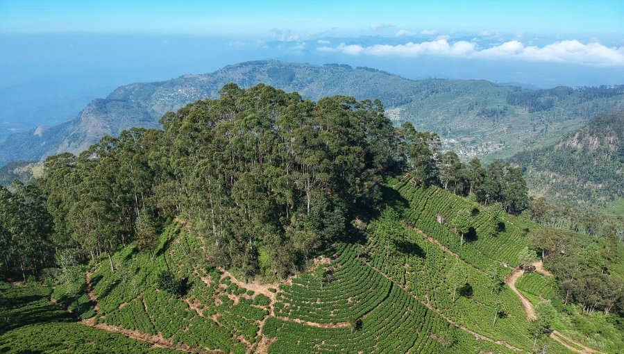 Located in the misty hills of Sri Lanka’s tea country, **Lipton’s Seat** offers one of the most breathtaking panoramic views on the island.