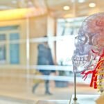 Medical tourism is becoming increasingly popular as people look for affordable, high-quality medical care outside their home countries.