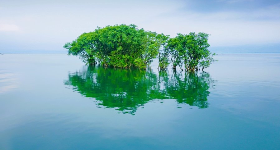 Today, there are over 700 biosphere reserves in more than 130 countries. Each reserve is divided into three zones: the core zone (a strictly protected area for wildlife)