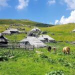 Velika Planina is a treasure waiting to be uncovered. Whether you’re an adventurer seeking epic mountain views, a culture buff curious about traditional alpine life