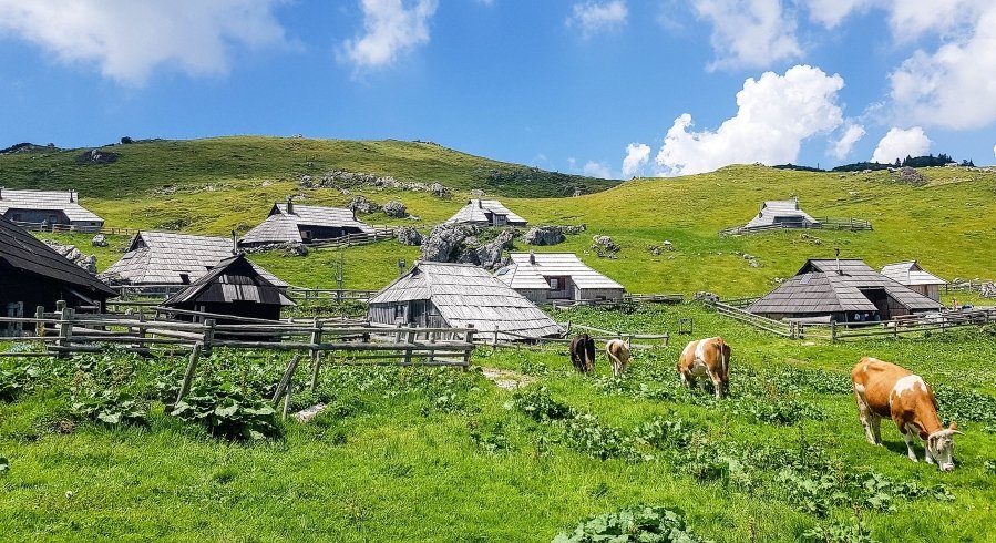 Velika Planina is a treasure waiting to be uncovered. Whether you’re an adventurer seeking epic mountain views, a culture buff curious about traditional alpine life