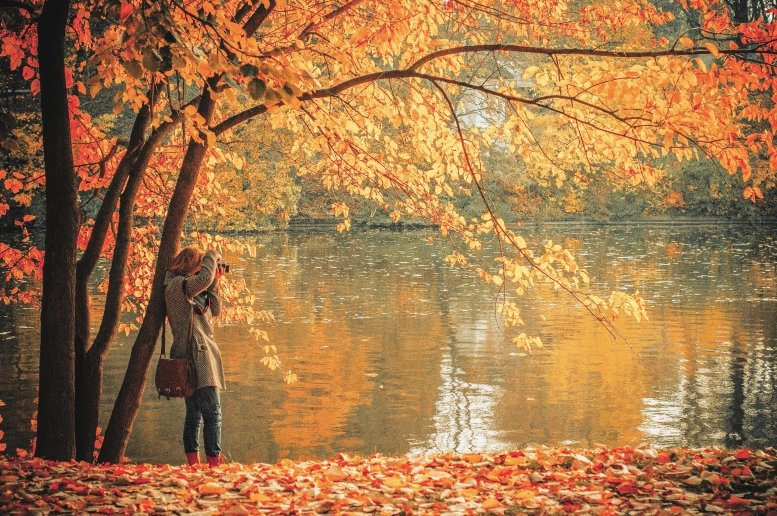 Autumn is the perfect season to capture breathtaking photos, with vibrant leaves, soft golden light, and cozy sweaters setting the scene for stunning shots.