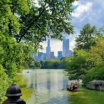 Central Park, a sprawling 843-acre oasis that offers New Yorkers and visitors alike a breath of fresh air.