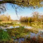 the most endangered UNESCO Biosphere Reserves, where conservation efforts are racing against time to preserve our planet's incredible biodiversity.