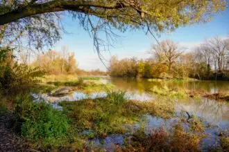 the most endangered UNESCO Biosphere Reserves, where conservation efforts are racing against time to preserve our planet's incredible biodiversity.