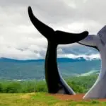 Whale Dance is a visually stunning piece, with five bronze whale tails gracefully emerging from the earth.