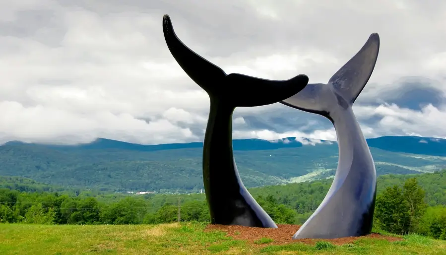 Whale Dance is a visually stunning piece, with five bronze whale tails gracefully emerging from the earth.